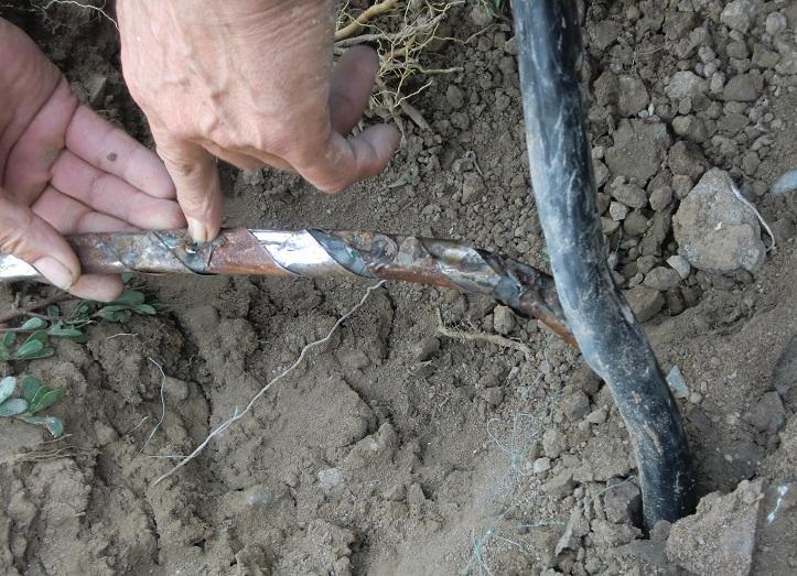 美高梅集团4688am(唯一)有限公司官网